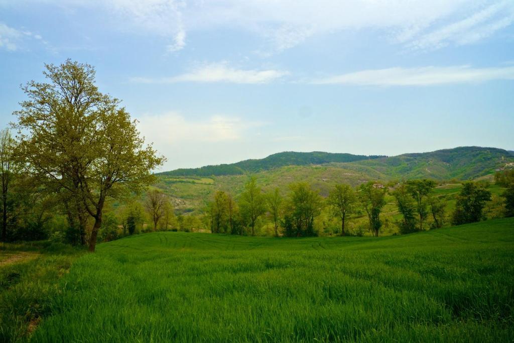 Agriturismo Montelovesco Brunetta Exterior foto