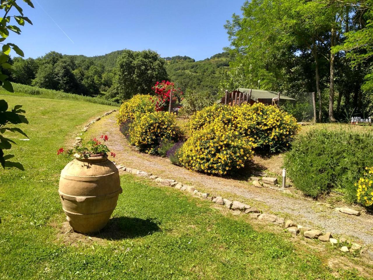 Agriturismo Montelovesco Brunetta Exterior foto